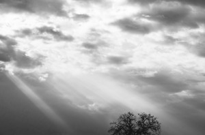 IMG-008